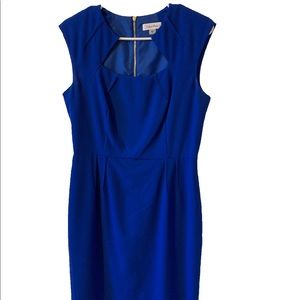 Calvin Klein Navy Blue Dress